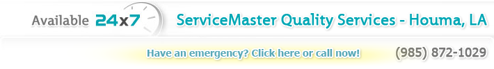 company_info-1.png